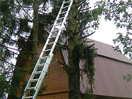 спил деревьев Белоусово