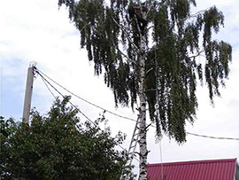 спилить дерево