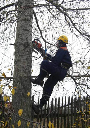 Расчистка дачных земельных участков от кустарника деревьев и мелколесья в Обнинске Малояроcлавце Балабаново Белоусово Боровске и других городах Калужской и Московской области
