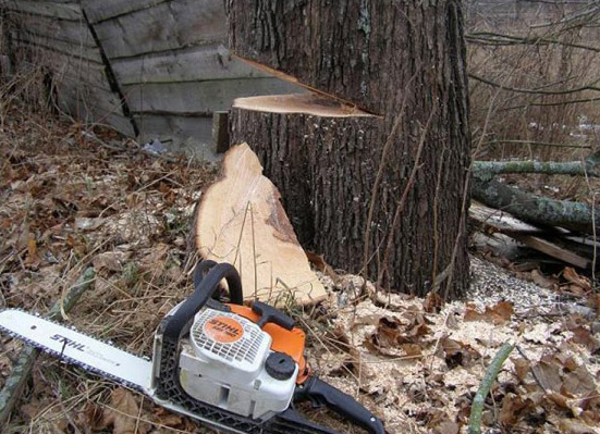 Удаление деревьев