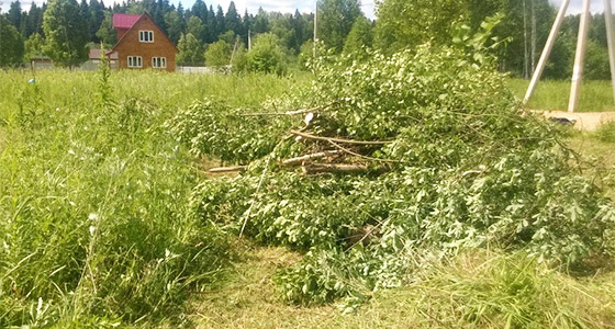 Расчистка участка от насаждений Обнинск Балабаново Боровск